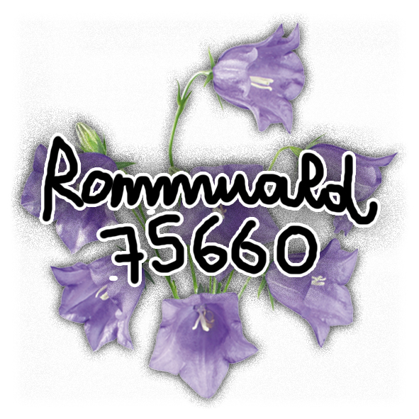 une jolie fleur violette pixelisées surmontée d'une police d'écriture tremblotante nous rappelant le nom du créateur du site : Rommuald75660 